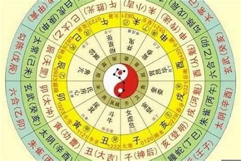 九星五行 八字長生